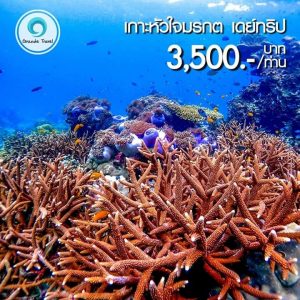 เกาะหัวใจมรกต