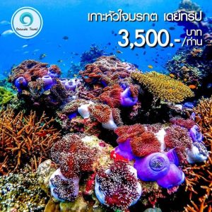 เกาะหัวใจมรกต