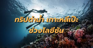 ทริปดำน้ำโลซีซัน เกาะหลีเป๊ะ