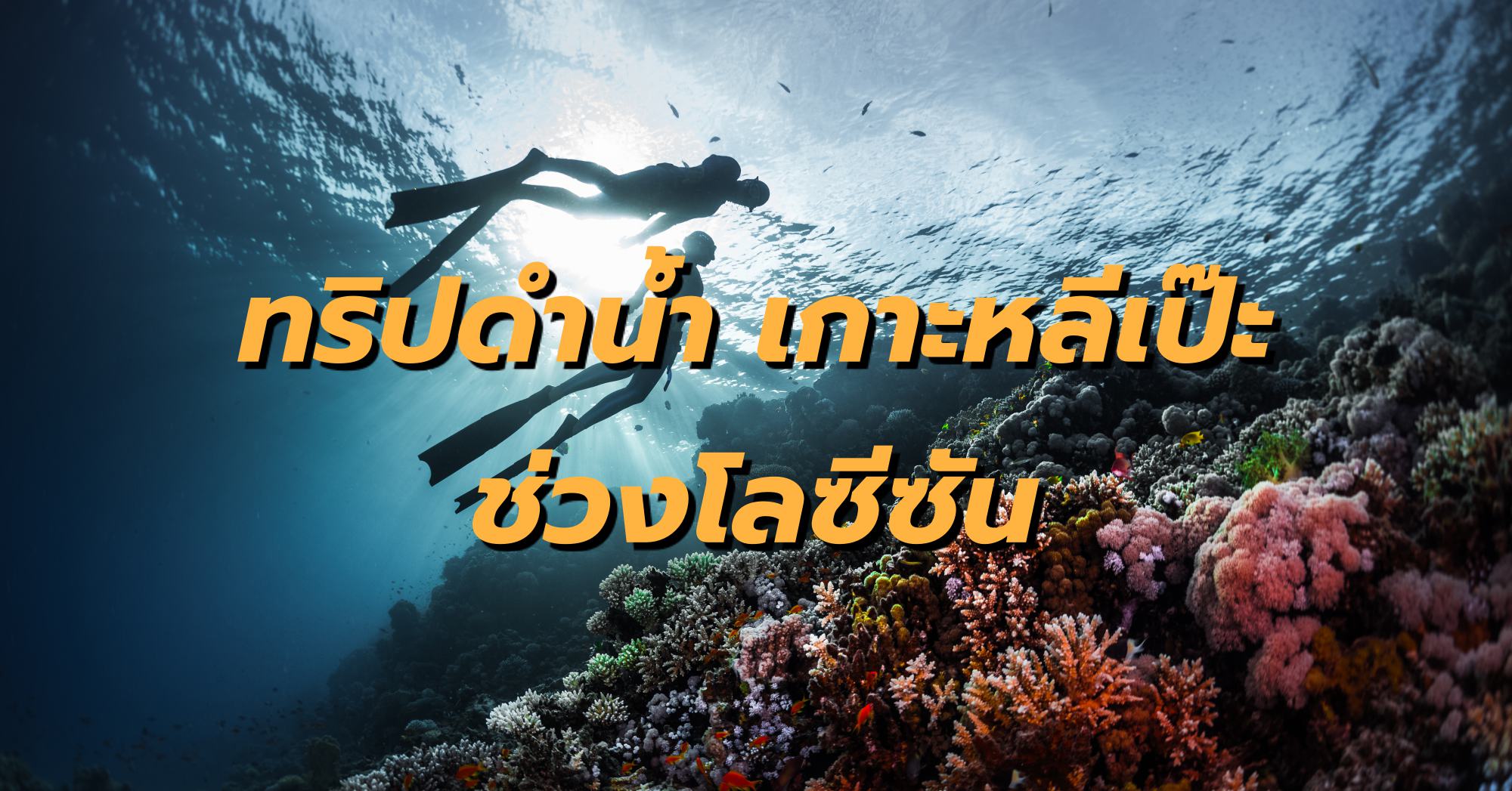 ทริปดำน้ำโลซีซัน เกาะหลีเป๊ะ