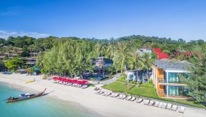 Idyllic Concept lipe