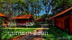 ບຸນດາຫຢາ ລີສອດ